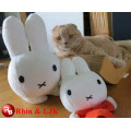 OEM suave ICTI juguete de peluche fábrica cute gato felpa de juguete